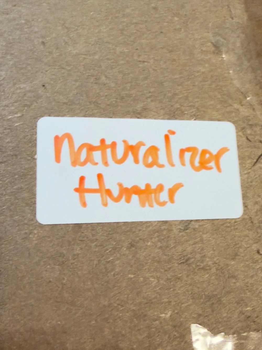 Naturalizer questions leave